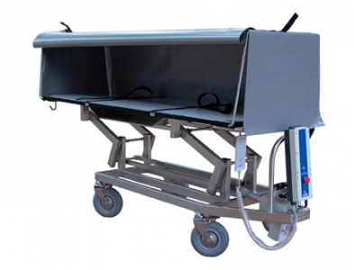 Chariots de dissimulation